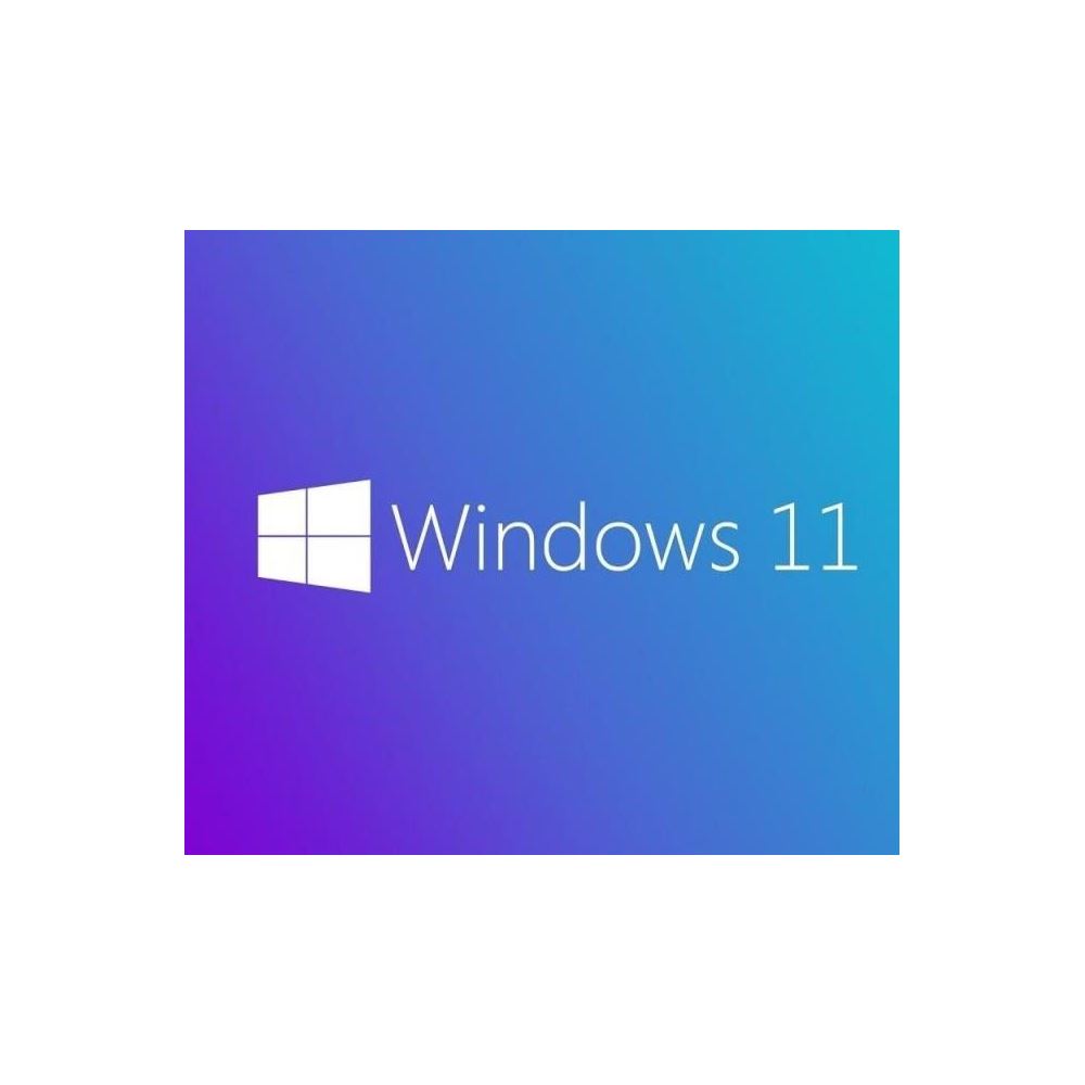 Ms Wındows 11 Pro 64 Bıt Turkce Oem Fqc-10556