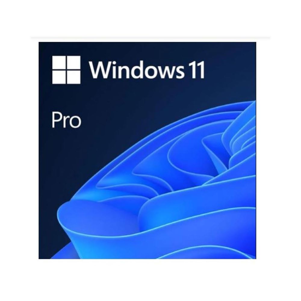 Ms Wındows 11 Pro 32/64 Bıt Tr Kutu Usb Hav-00159